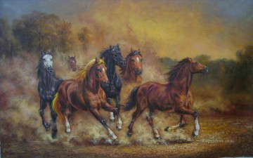 amc0024D13 animal horse Oil Paintings